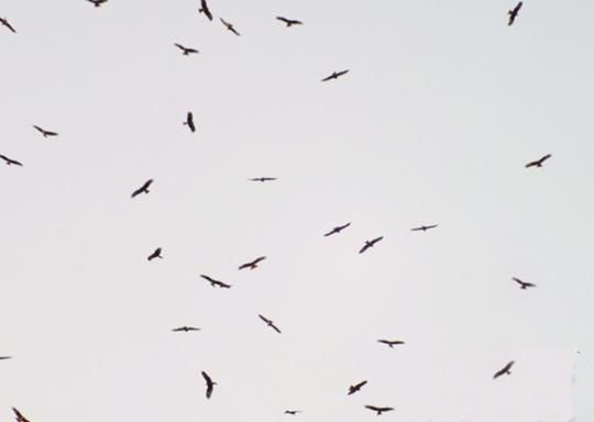 201404031454330220e.jpg